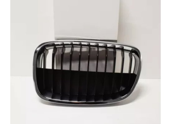 BMW Grille Left F20 51137324389