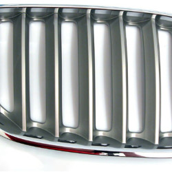 BMW Grille Titan Right E53 X5 51137124816