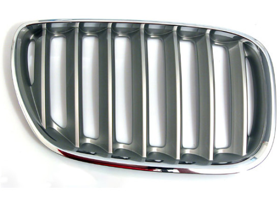 BMW Grille Titan Right E53 X5 51137124816