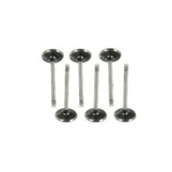 BMW E30 E34 M20 Intake and Exhaust Valve Kit 11341267722 SUNES