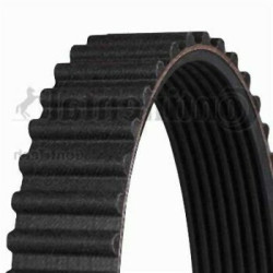 BMW E30 E34 M21 Timing Belt 11311279125 CONTITECH