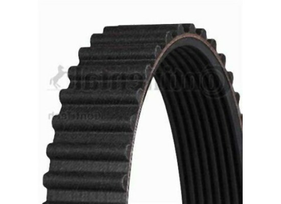 BMW E30 E34 M21 Timing Belt 11311279125 CONTITECH