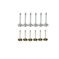 BMW E32 E34 M30 Intake and Exhaust Valve Set 11341257592 SAYGI