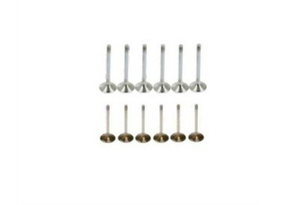 BMW E32 E34 M30 Intake and Exhaust Valve Set 11341257592 SAYGI