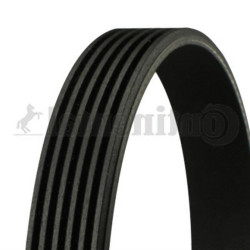 BMW E34 E36 E38 E39 Z3 M50 M52 Fan Belt Between 09 1991-09 1998 6PK1555 11287636378 CONTITECH