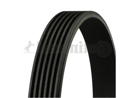 BMW E34 E36 E38 E39 Z3 M50 M52 Fan Belt Between 09 1991-09 1998 6PK1555 11287636378 CONTITECH