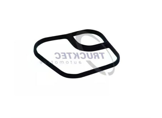 BMW E39 E46 M47 Oil Radiator Gasket 11422247017 TRUCKTEC