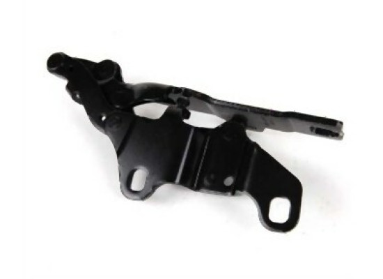 BMW E90 E91 E92 E93 Hood Hinge Left 41617210677