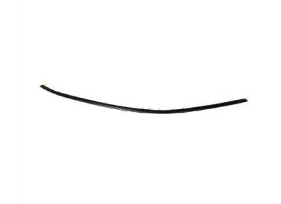 BMW E90 E91 Windshield Upper Seal 51317061967