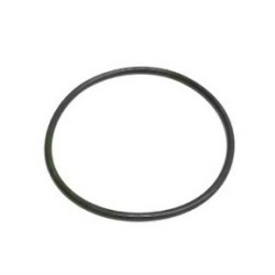 BMW MINI B36 B37 B38 B47 N13 N20 N47N N55 Fuel Pump Gasket O-ring 16117188567