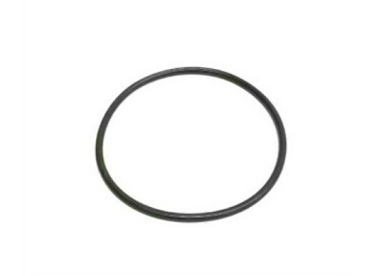 BMW MINI B36 B37 B38 B47 N13 N20 N47N N55 Fuel Pump Gasket O-ring 16117188567