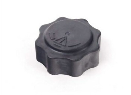 Mini R50 R52 R53 W11 W17 Water Tank Cap 17107515499