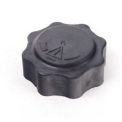 Mini R50 R52 R53 W11 W17 Water Tank Cap 17107515499