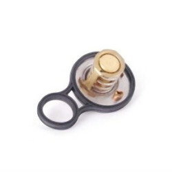 Mini R50 R52 R53 W10 W11 Thermostat 11537596787 WAHLER