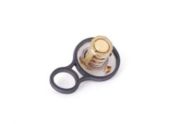 Mini R50 R52 R53 W10 W11 Thermostat 11537596787 WAHLER