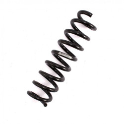Bmw 3 Series F30 Case Rear Coil Spring