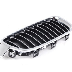 BMW Grille 51137263481