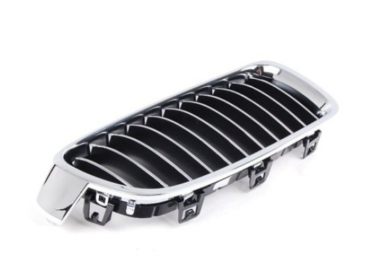 BMW Grille 51137263481