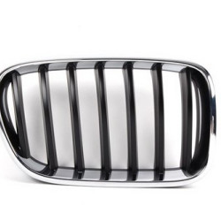 BMW Grille 51117210726