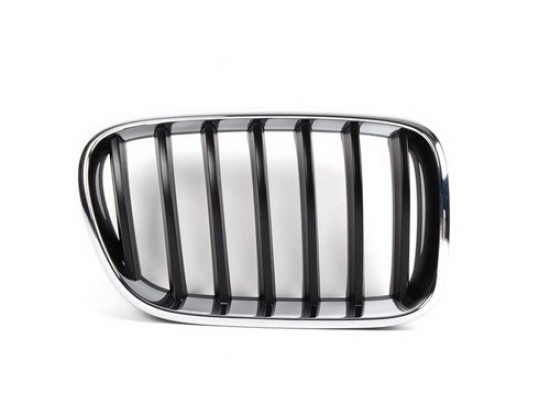 BMW Grille 51117210726