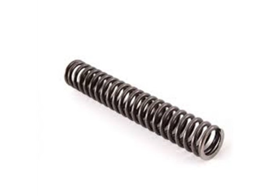 BMW Camshaft Tension Spring All Models 10189202 11411706809