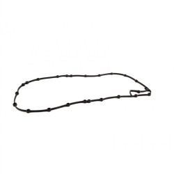 BMW Carter Gasket E36 E46 M43 11131432109