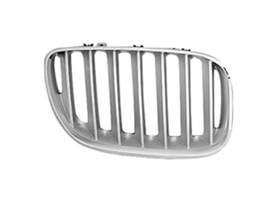 BMW Grille Titan Right E53 X5 51137124816