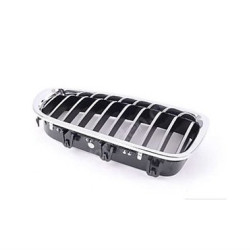 BMW Grille Chrom Sol F10 51137203649