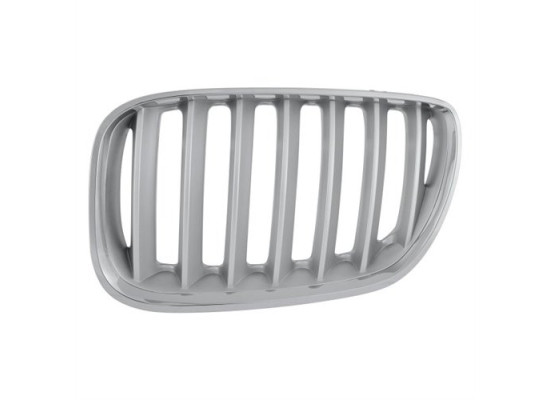 BMW Grille Titan Left E53 X5 51137124815