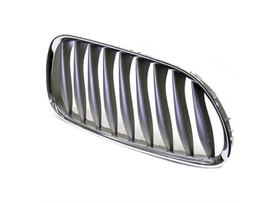 Bmw Grille Titan Right E85 E86 Z4 2004-2011 51117117758