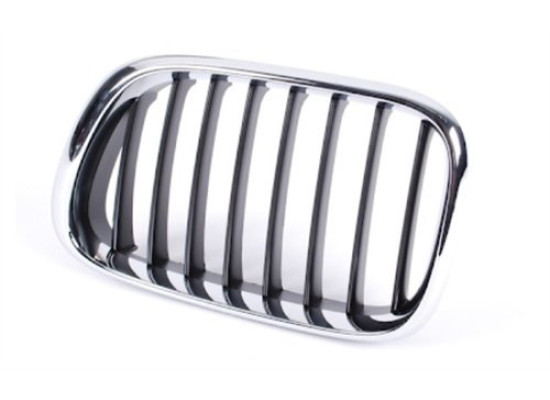 BMW Grille Left E53 X5 51138402645