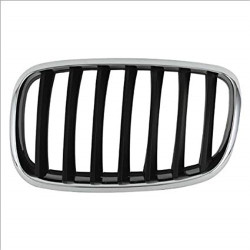 BMW Grille Black Left E70 E71 X5 X6 51137157687