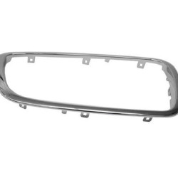 BMW Grille Nickel 51137145740