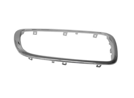 BMW Grille Nickel 51137145740