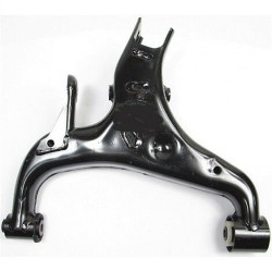 Land Rover Swing Rear-Lower Right Sport Lr019977