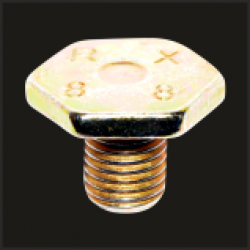 BMW Crankcase Plug 10x1,25x13