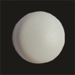 BMW Screw Cover Plate White
