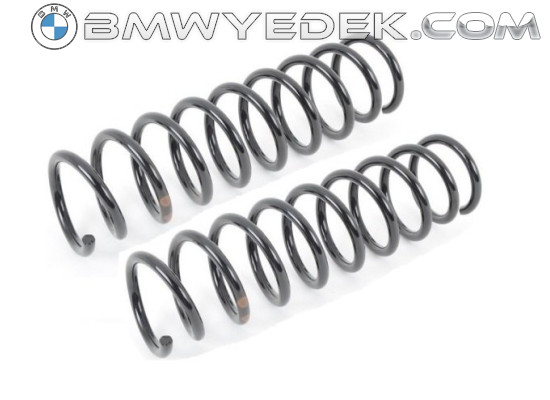 Bmw 5 Series E39 Chassis Rear Coil Spring Set Lesjofors 33531093634 