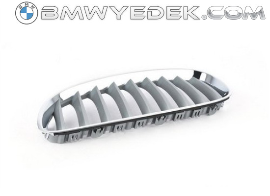 BMW Решетка радиатора алюминиево-матовая M левая E89 Z4 (BMW-51137181547)