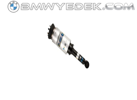 Land Rover Shock Absorber Front-Articulated Right-Left Discovery 3 Lnsk1112 Rnb501580 
