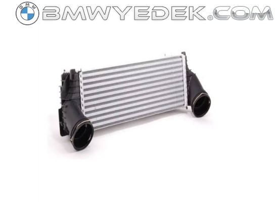 Радиатор BMW Turbo E70 F15 E71 F16 X5 X6 17517809321 8ml376746261, Ci175000p (Bhr-17517809321)