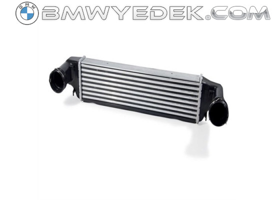 Радиатор BMW Turbo E46 E83 X3 17517793370 (Vem-17517793370)