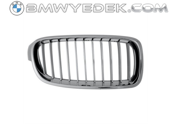 BMW Grille 51137263482