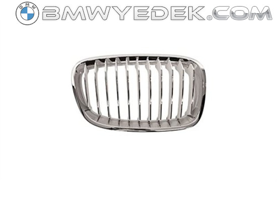 BMW Grille 51137262120