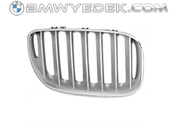 Решетка радиатора BMW Titan правая E53 X5 (Emp-51137124816)