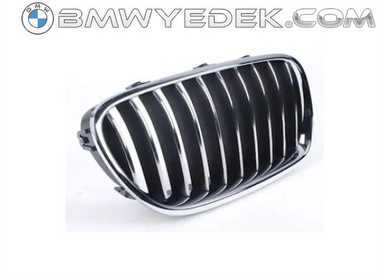 BMW Grille Right F10 51137203204 