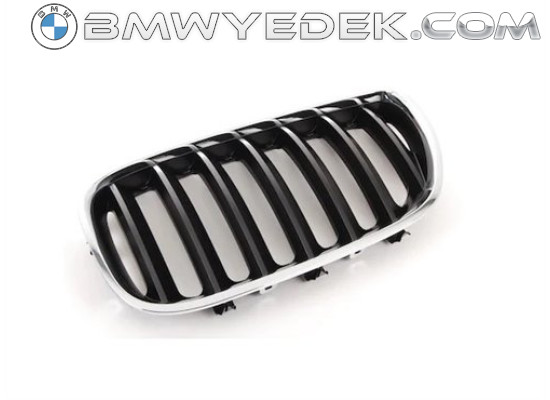 BMW Grille 3.0 Left E53 X5 51137113733