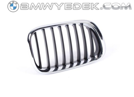 BMW Grille Right E53 X5 51138402646