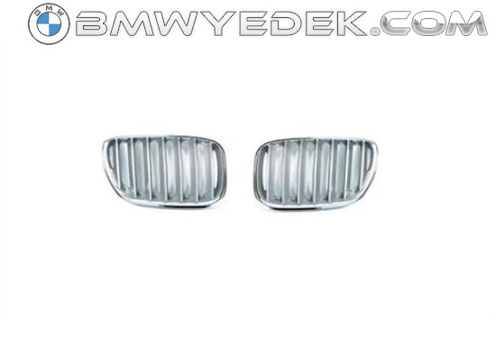 BMW Grille X5 LR (Серебряный хром, старая модель) Серебристый хром, старая модель E53 X5 51138250051 (Wut-51138402648)