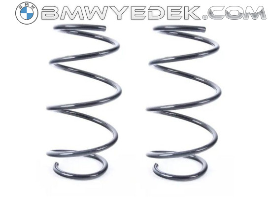 Bmw E46 Chassis 320i Front Coil Spring Set 